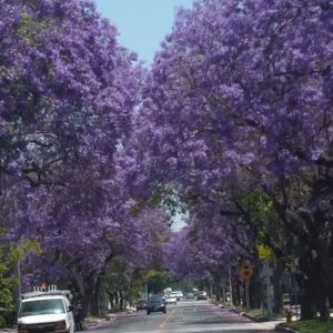 Meet your Posher, Tamara